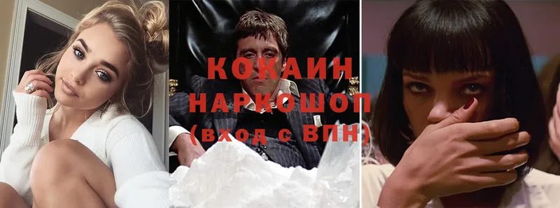 Cocaine Fish Scale  мега зеркало  Кадников 